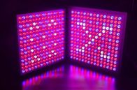 알루미늄 몸 실내 LED는 실내 경작을 위한 가벼운 45W LED 성장 패널을 성장합니다