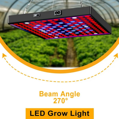 LED 전체 스펙트럼 식물 성장 빛 50W 80W 녹색 집을위한 빨간 파란색 빛