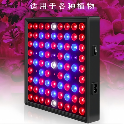 LED 전체 스펙트럼 식물 성장 빛 50W 80W 녹색 집을위한 빨간 파란색 빛