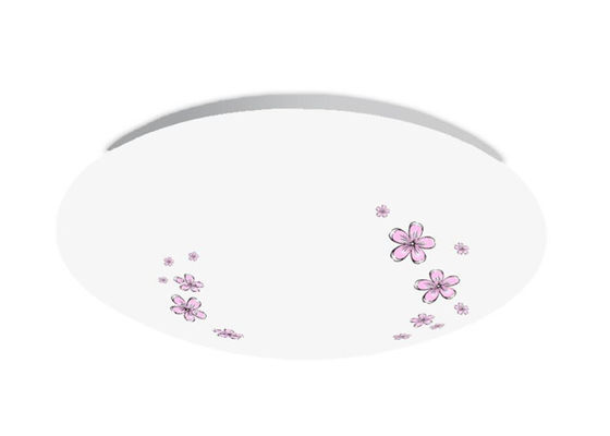 PMMA 원형 원형 천장 장착형 LED 조명 18 와트 AC175-265V AN-XD-JY-18-01