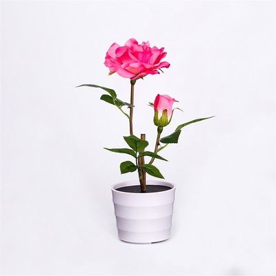마당 장식을 위한 다른 디자인을 가진 태양 LED 조경 꽃 빛